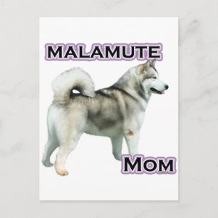 Postal Alaskan Malamute Mom 4