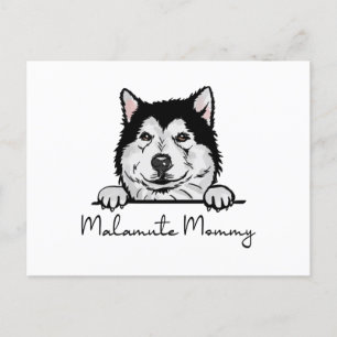 Postal Alaskan Malamute Mommy