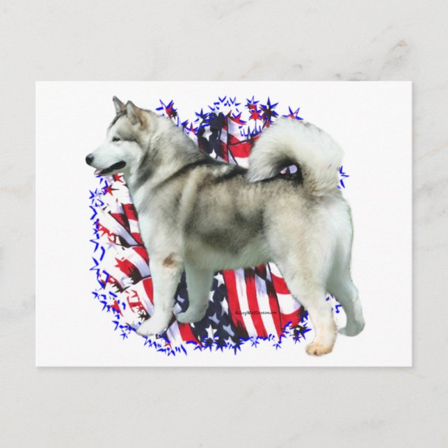 Postal Alaskan Malamute Patriot (Anverso)