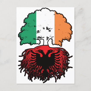Postal Albania Bandera de raíces de árboles de Irlanda ir