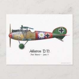 Postal Albatros D.V. ww1 Avie Bäumer