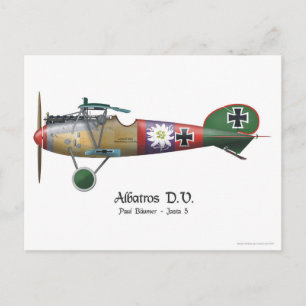 Postal Albatros D.V. ww1 Avie Bäumer