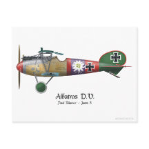 Albatros D.V. ww1 Avie Bäumer