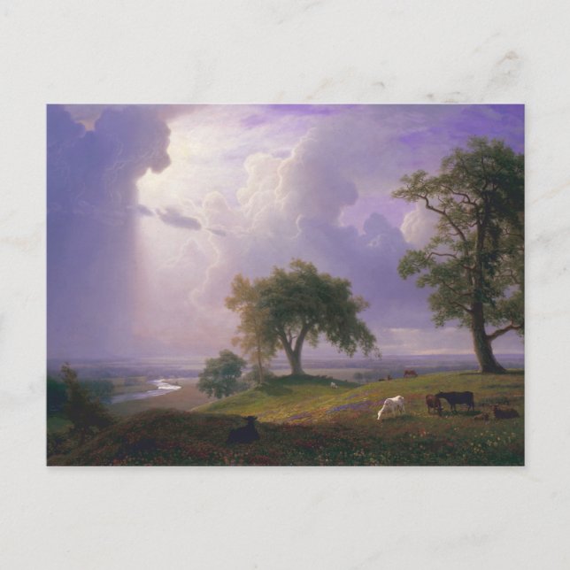Postal Albert Bierstadt California Spring Cattle (Anverso)