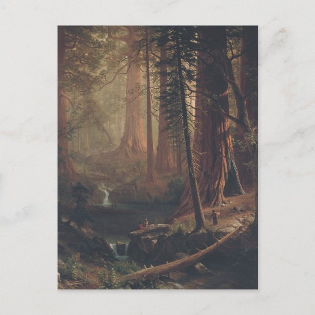Postal Albert Bierstadt Giant Redwood Trees de California (Anverso)