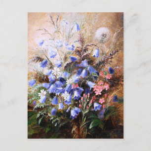 Postal Albert Dürer Lucas: Harebells y Centaury