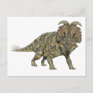 Postal Albertaceratops Dinosaur mirando al frente