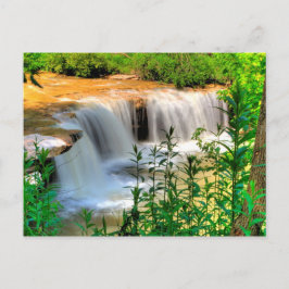 Postal Alberts Falls, Thomas, Virginia Occidental