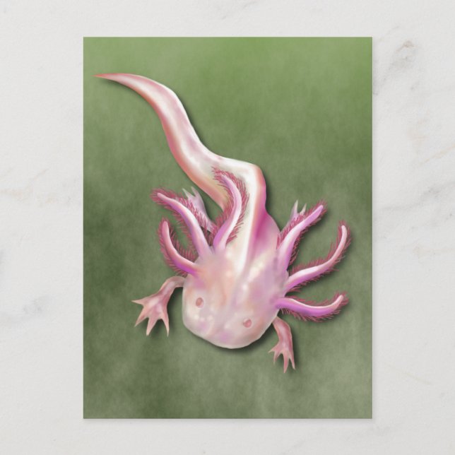 Postal Albino Axolotl "Walking Fish" Art (Anverso)