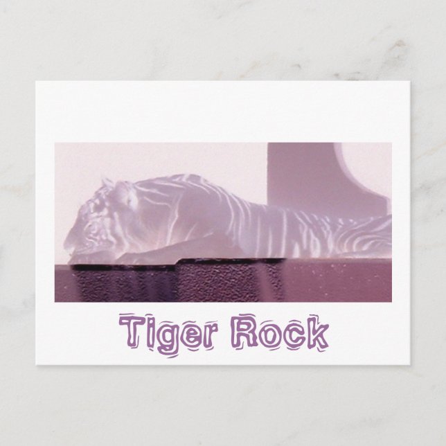 Postal Albino Tiger (Anverso)