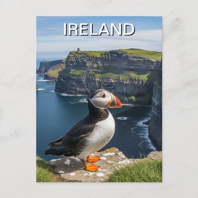 Postal Alboroto en los acantilados de Moher Ireland Trave (Anverso)