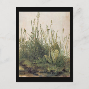 Postal Albrecht Durer Gran trozo de turf
