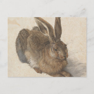 Postal Albrecht Dürer - Hare