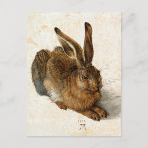 Postal ALBRECHT DÜRER - Joven liebre 1502