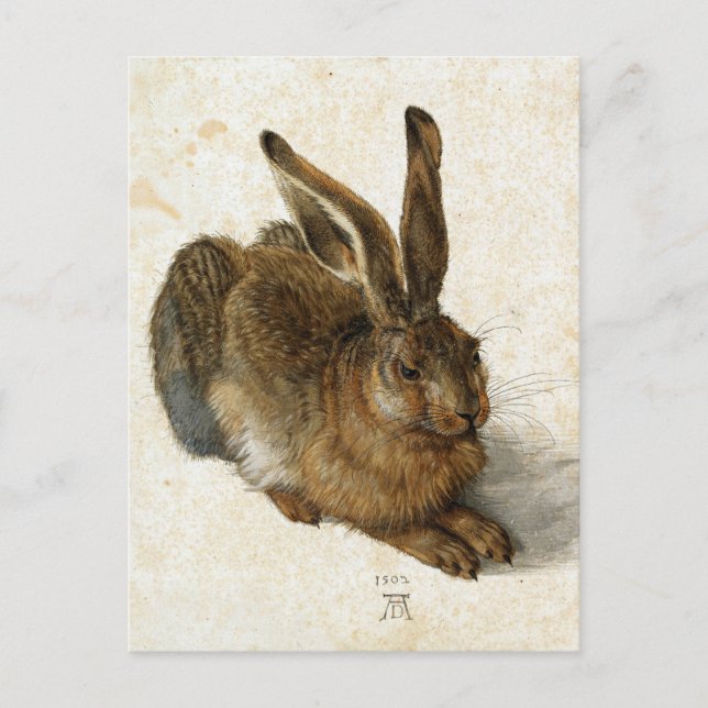 Postal ALBRECHT DÜRER - Joven liebre 1502 (Anverso)