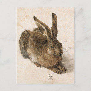 Postal Albrecht Dürer - Junger Hase (Young Hare), 1502