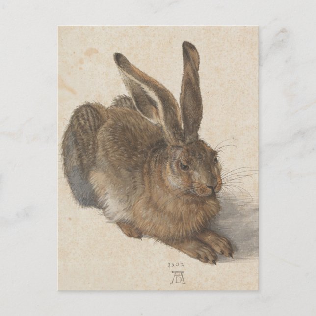Postal Albrecht Dürer - Liebre (Anverso)