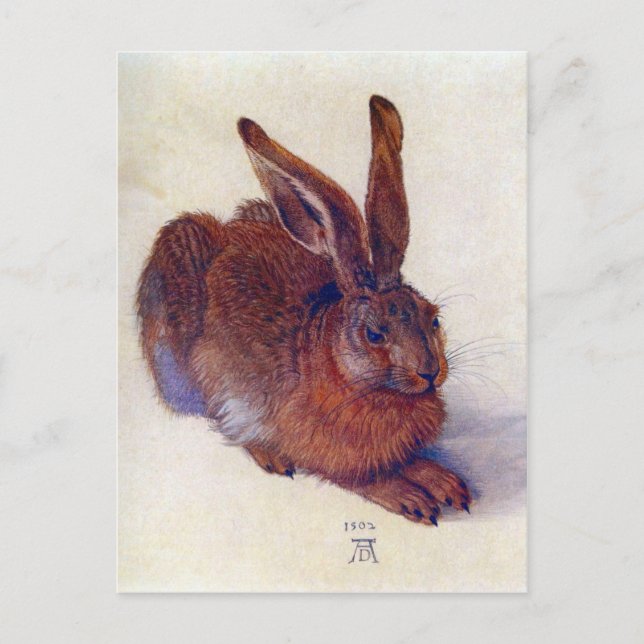 Postal Albrecht Durer - liebre de campo (Anverso)