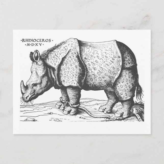 Postal Albrecht Durer - Rhinoceros (Anverso)