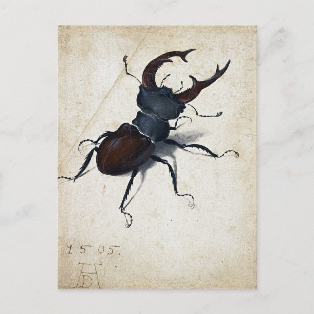 Postal Albrecht Dürer Stag Beetle (Anverso)