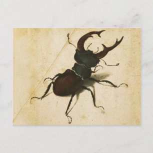 Postal Albrecht Durer Stag Beetle Arte de época renacenti