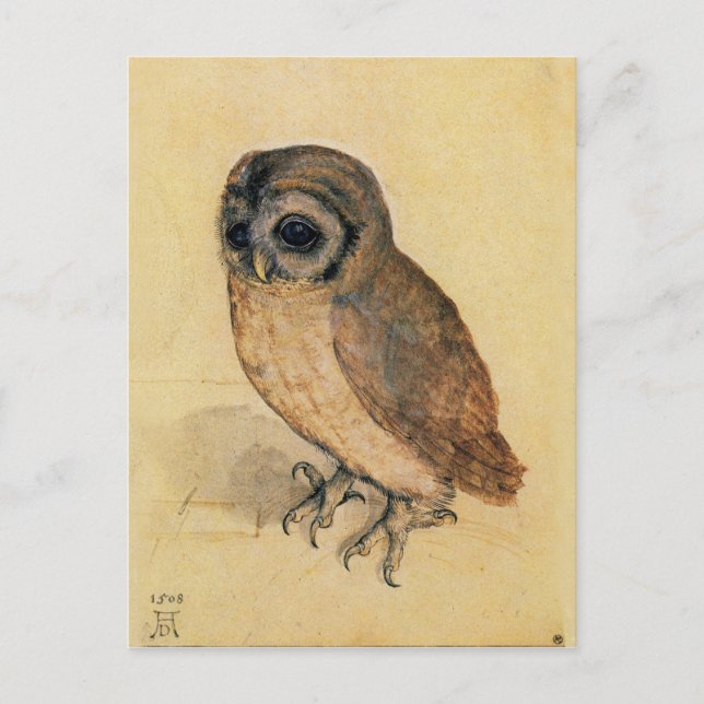 Postal Albrecht Durer The Little Owl (Anverso)