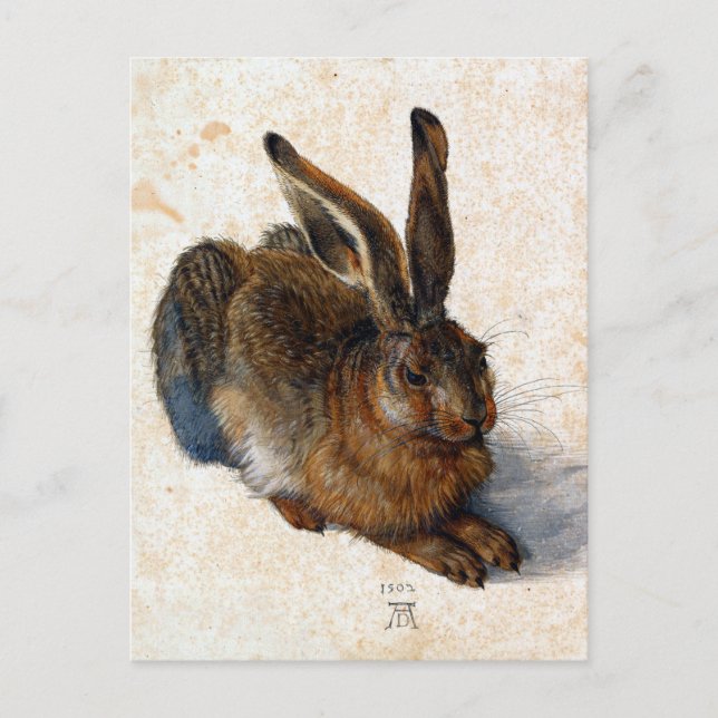 Postal Albrecht Dürer Young Hare (Anverso)