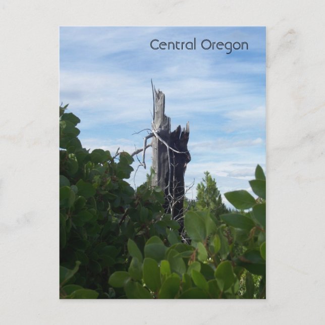 Postal alcanzar (Anverso)