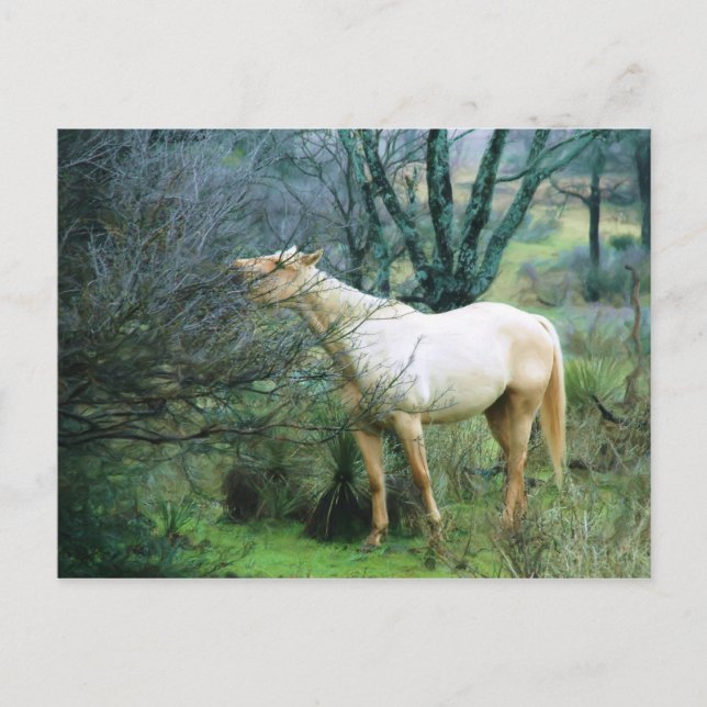 Postal Alcanzar alto para cenar (Anverso)