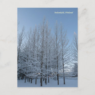 Postal Alcanzar el cielo