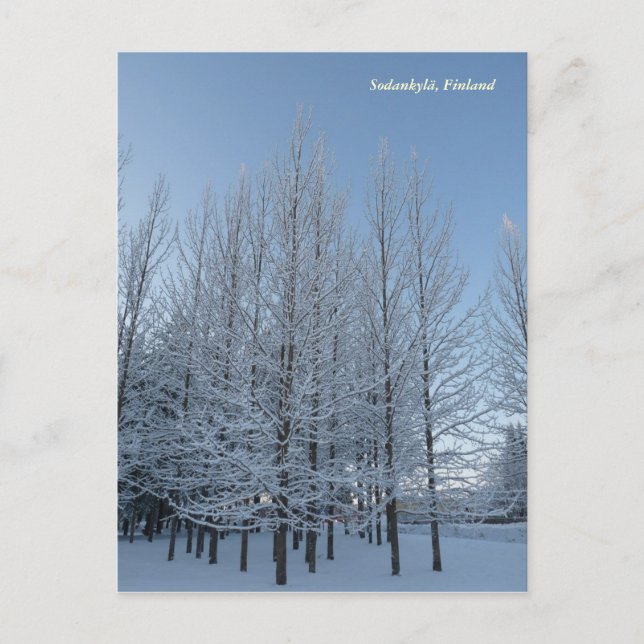 Postal Alcanzar el cielo (Anverso)