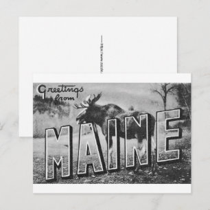Postal Alce de Maine 
