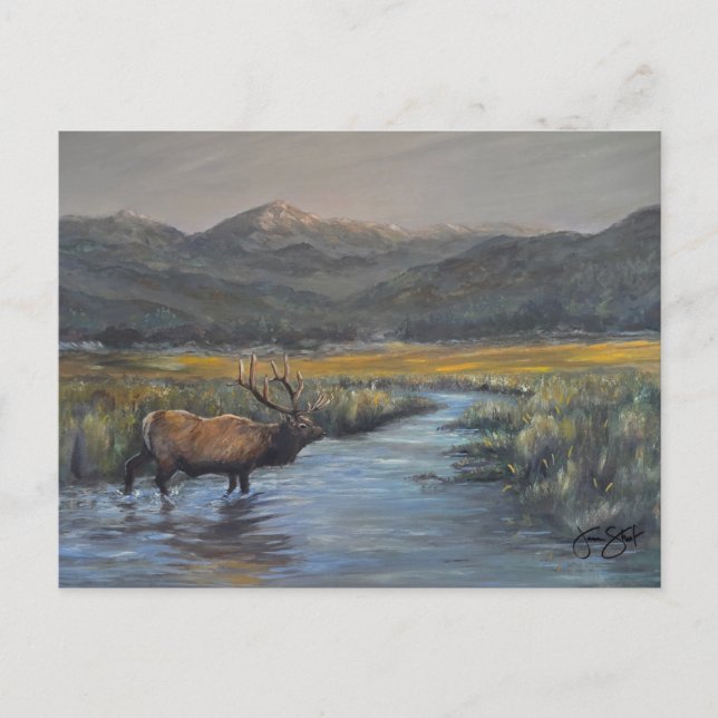 Postal Alce dorado (Anverso)