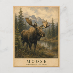 Postal Alces Bosques del Norte VINTAGE