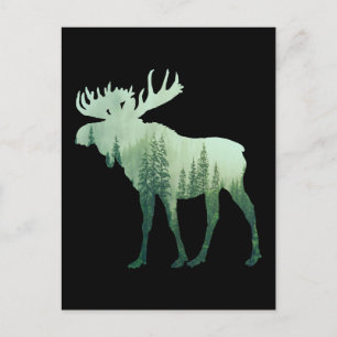 Postal Alces Ciervos Y Bosque Naturaleza