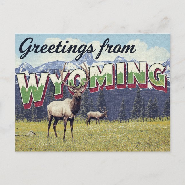 Postal Alces de Wyoming Montañas Grand Teton (Anverso)
