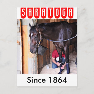 Postal Alcolite - Cubos de refugio para caballos en Sarat