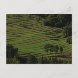 Postal Aldea de Prem, Colinas Brkini, Eslovenia