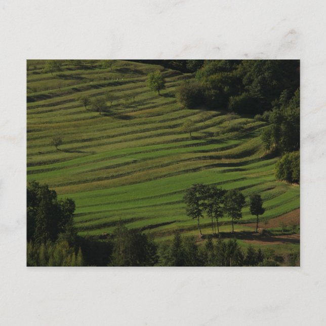 Postal Aldea de Prem, Colinas Brkini, Eslovenia (Anverso)