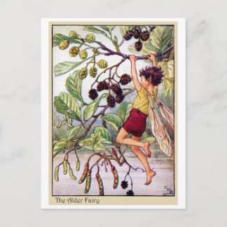 Postal Alder Fairy