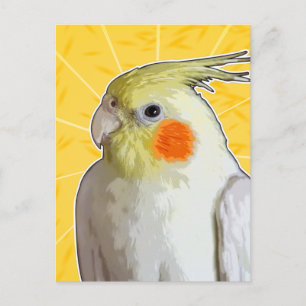 Postal Alegre Mascota Cockatiel Lemon Amarillo Sunshine