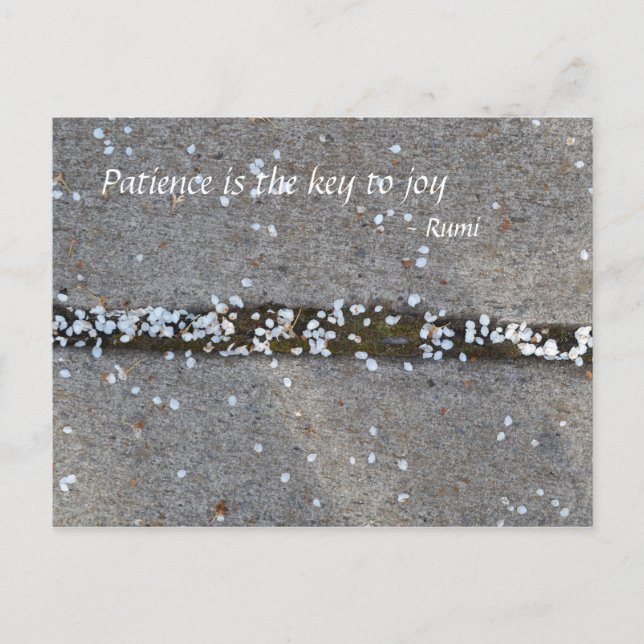 Postal Alegría de Rumi de los pétalos de la primavera (Anverso)