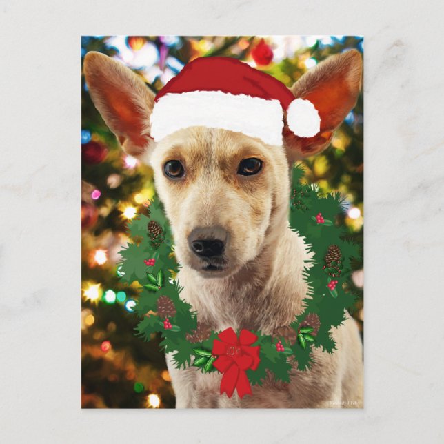 Postal Alegría por el cachorro (Anverso)