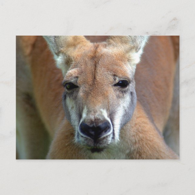 Postal alejarse (Anverso)