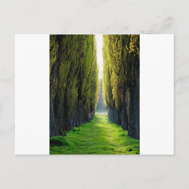 Postal ALEJAWroclaw Polonia (Anverso)