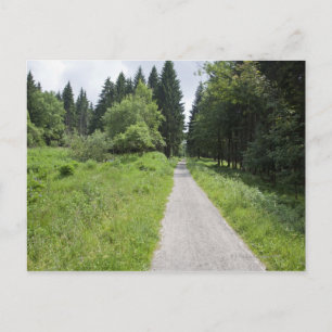 Postal Alemania, Turingia, sendero en el bosque