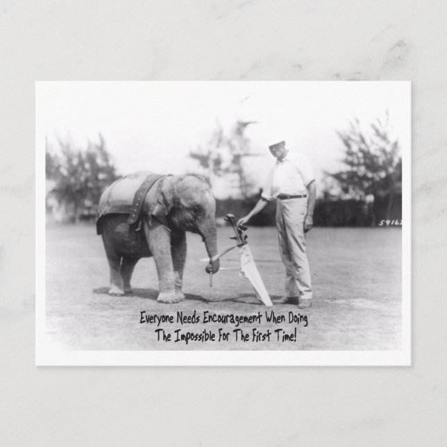 Postal Alentamiento - Elefante Jugando Golf (Anverso)