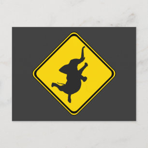 Postal Alerta: ¡Bailando Elefante Xing!