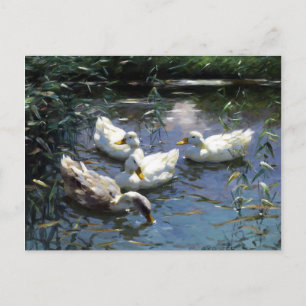 Postal Alexander Koester Cuatro Patos en el Estanque