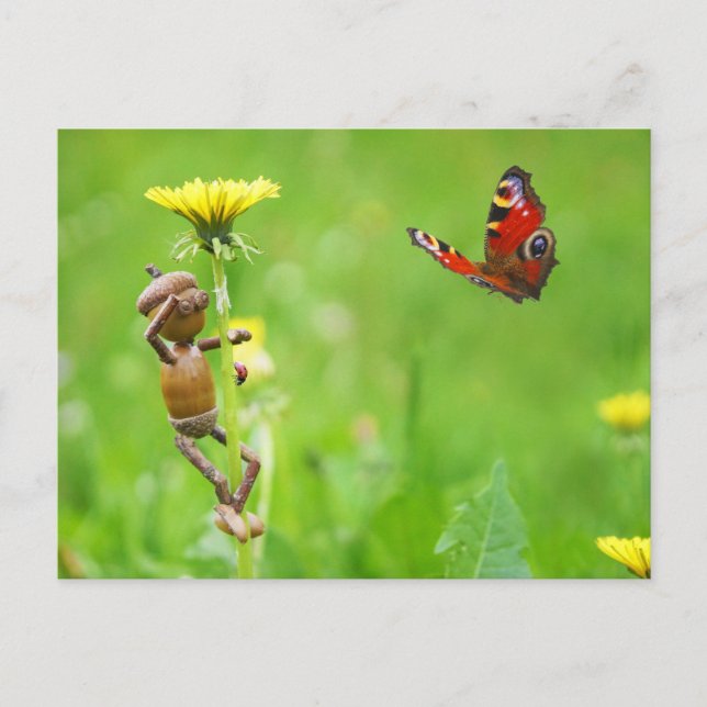 Postal Alfa de maíz en dandelion con mariposa en pradera (Anverso)